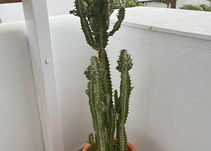 Cavos Paros Veranda, Sea-view Terrace & 2 Bedrooms * Alikí